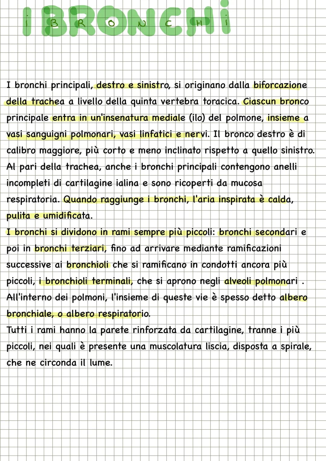 APPARATO RESPIRATORIO
FUNZIONI
condivide con l'apparato
cardiovascolare il compito di fornire
l'ossigeno all'organismo e quello di
eliminare