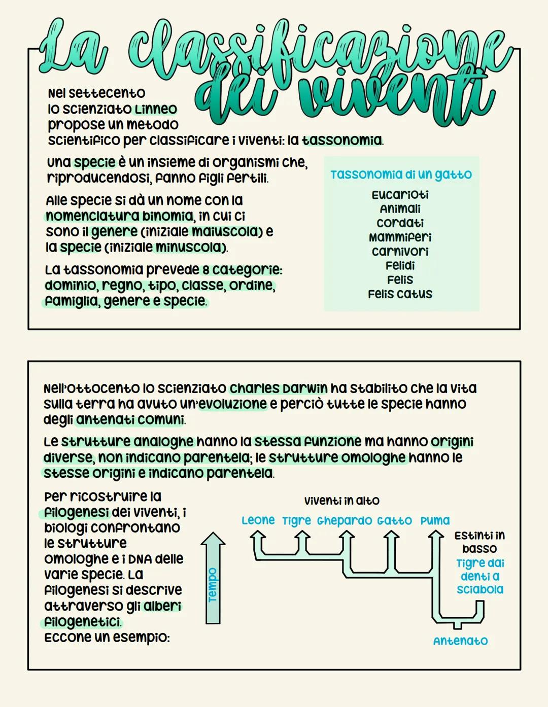 Classificazione dei Viventi: Tassonomia, Filogenesi e Regni