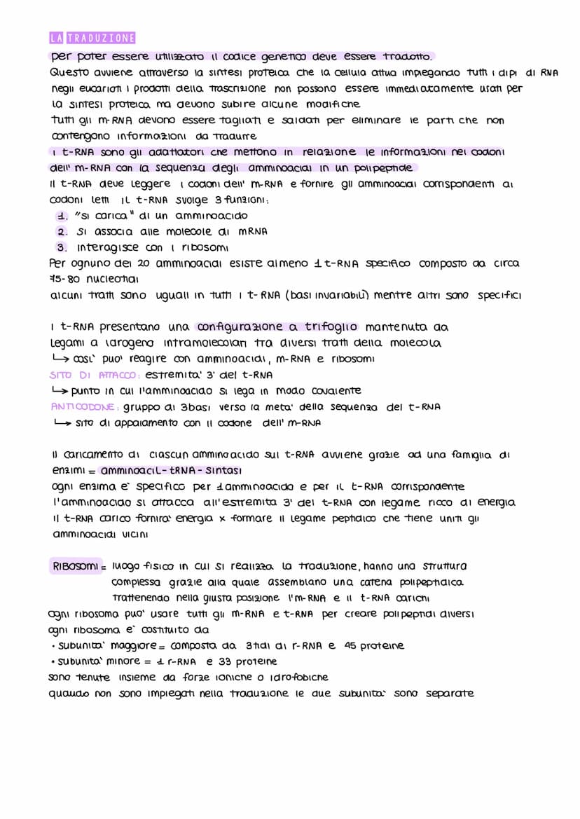 ESPRESSIONE GENICA
E RECOLAZIONE
UN GENE UN POLIPEPTIDE
obiettivo: capire come sono codificate, trasportate e decodificate le informazioni e