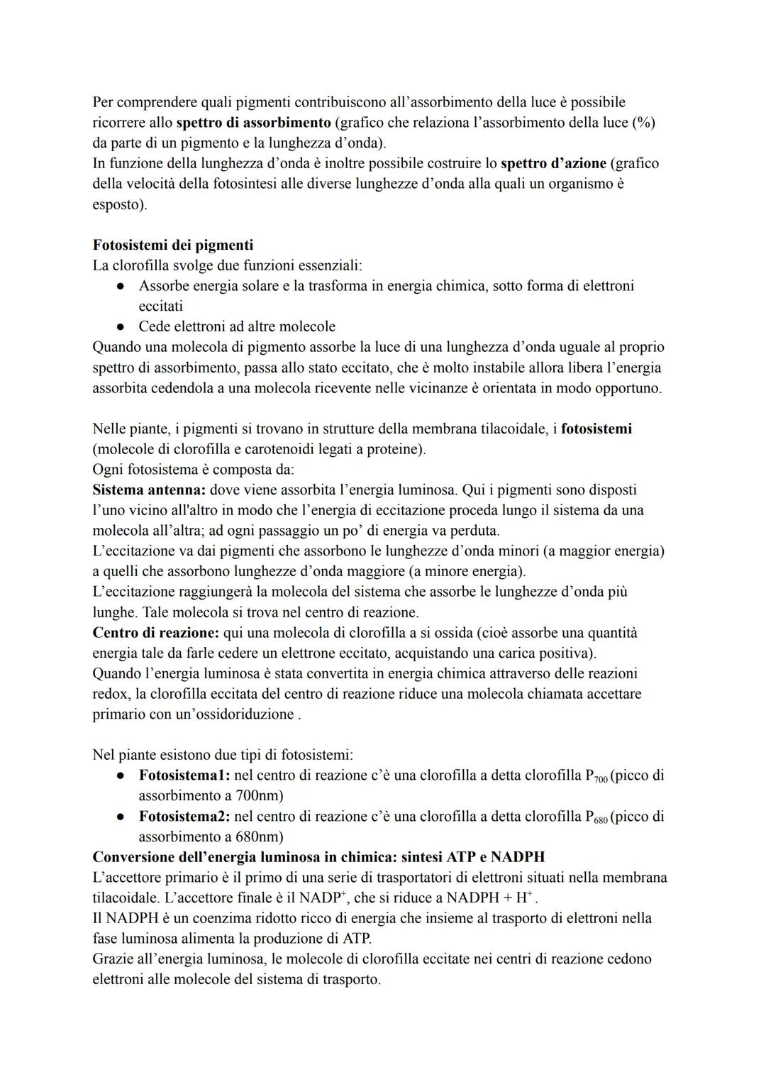 # FOTOSINTESI

È un processo anabolico che permette di catturare l'energia luminosa e di usarla per
sintetizzare carboidrati.

Gli organismi