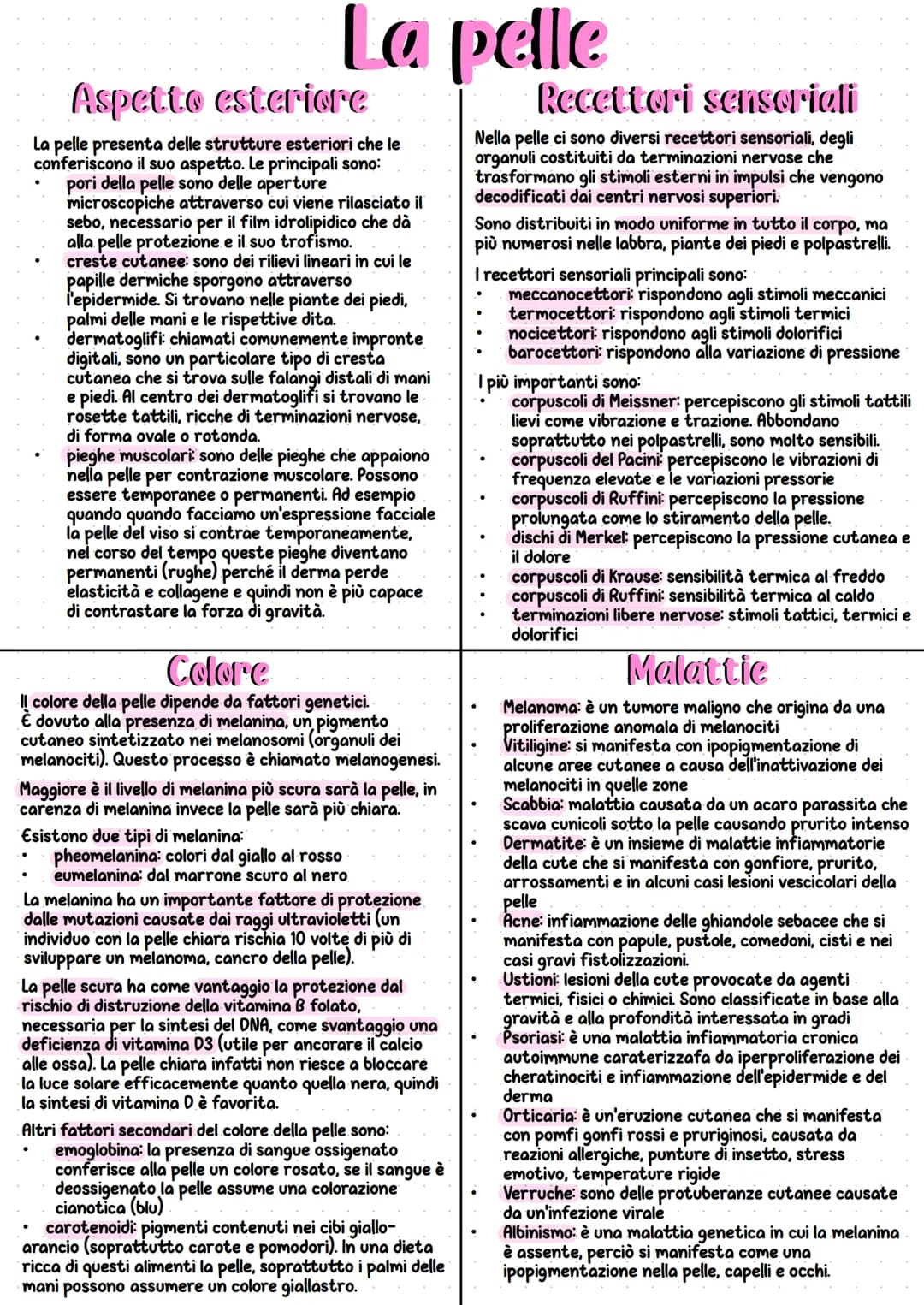 Apparato tegumentario
L'apparato tegumentario è un insieme di organi e
strutture che protegge e delimita il nostro corpo.
Ha diverse funzion