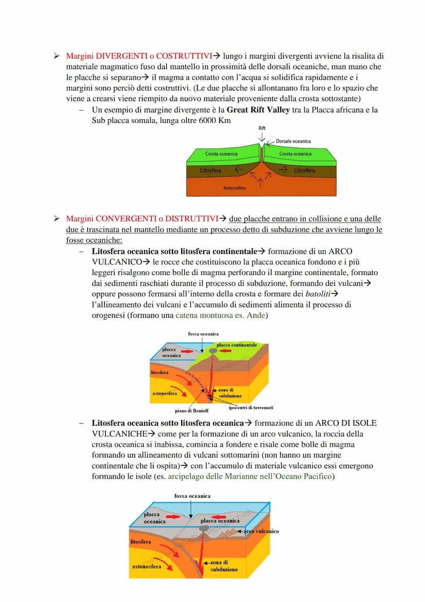 Teoria della DERIVA DEI CONTINENTI
Alla base del modello della Tettonica delle placche vi è la geniale intuizione avuta nel 1912 dallo
scien