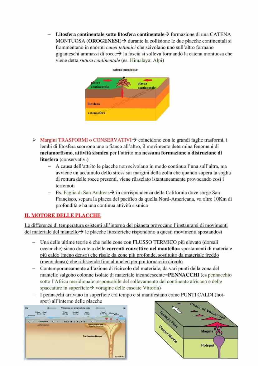 Teoria della DERIVA DEI CONTINENTI
Alla base del modello della Tettonica delle placche vi è la geniale intuizione avuta nel 1912 dallo
scien