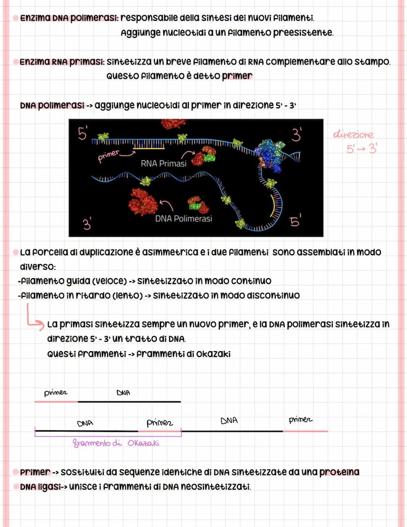 Riproctazione Cellulare
Le cellule si riproducono quando hanno dimensioni critiche o con i fattori di crescita.
O
unicellulari
La popolazion