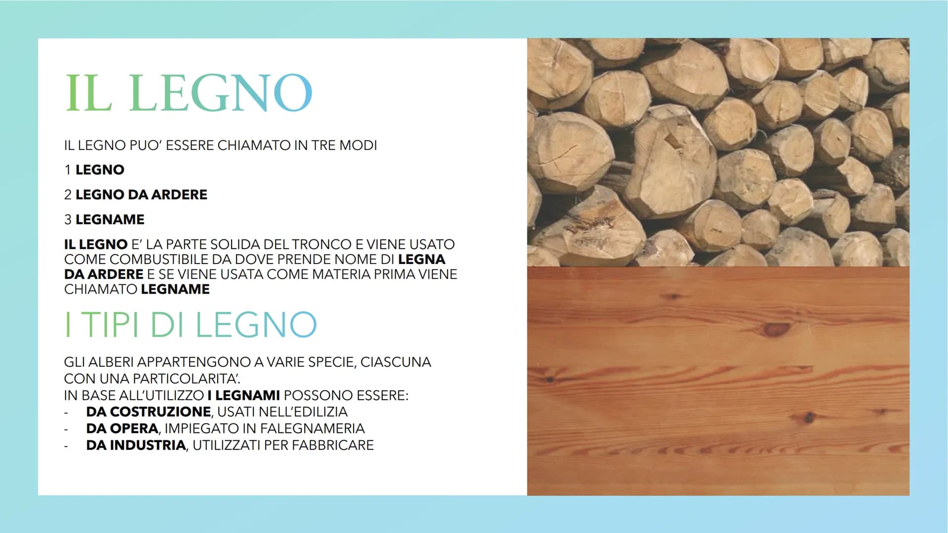 IL LEGNO
VUO IL LEGNO
IL LEGNO PUO' ESSERE CHIAMATO IN TRE MODI
1 LEGNO
2 LEGNO DA ARDERE
3 LEGNAME
IL LEGNO E' LA PARTE SOLIDA DEL TRONCO E
