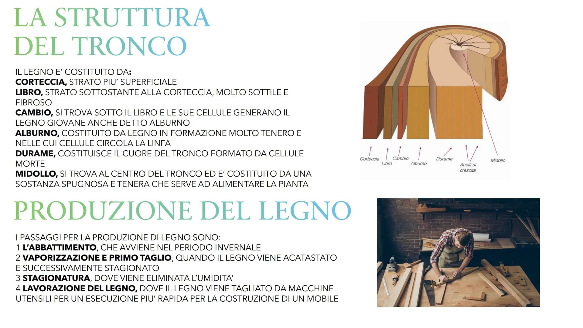 IL LEGNO
VUO IL LEGNO
IL LEGNO PUO' ESSERE CHIAMATO IN TRE MODI
1 LEGNO
2 LEGNO DA ARDERE
3 LEGNAME
IL LEGNO E' LA PARTE SOLIDA DEL TRONCO E