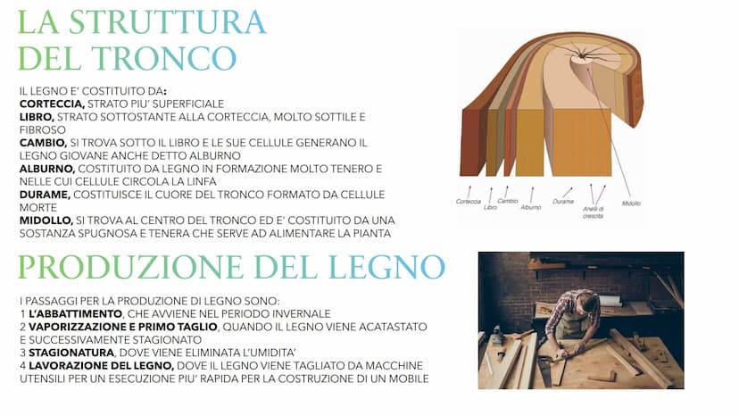 IL LEGNO
VUO IL LEGNO
IL LEGNO PUO' ESSERE CHIAMATO IN TRE MODI
1 LEGNO
2 LEGNO DA ARDERE
3 LEGNAME
IL LEGNO E' LA PARTE SOLIDA DEL TRONCO E