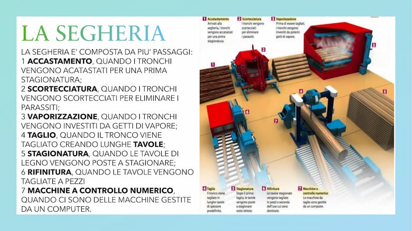 IL LEGNO
VUO IL LEGNO
IL LEGNO PUO' ESSERE CHIAMATO IN TRE MODI
1 LEGNO
2 LEGNO DA ARDERE
3 LEGNAME
IL LEGNO E' LA PARTE SOLIDA DEL TRONCO E