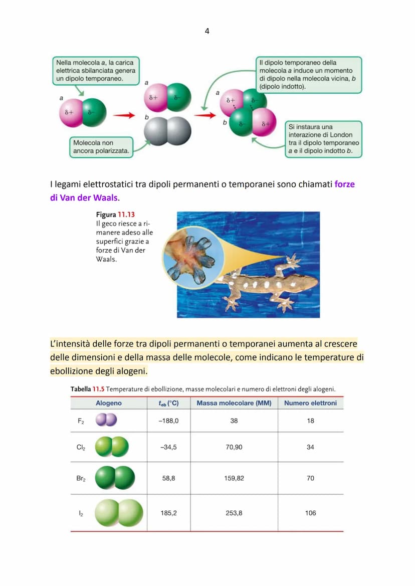 I legami intermolecolari
Argomenti:
→ Le forze intermolecolari
→ Solidi covalenti molecolari
→ Legami a confronto
→ Le proprietà intensive d