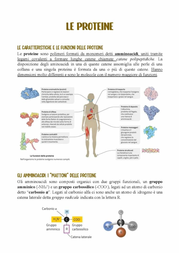 Know Proteine thumbnail