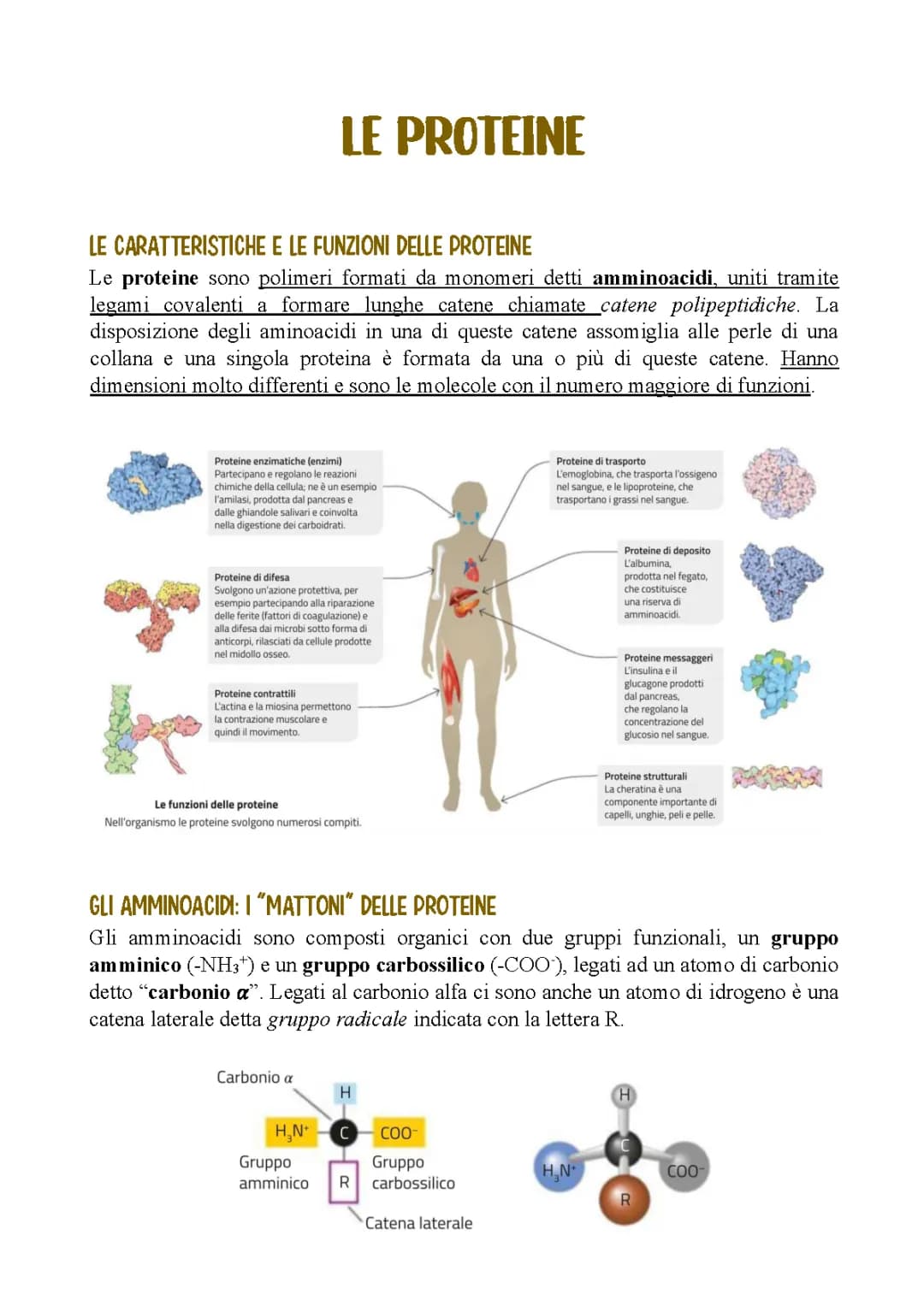 Proteine
