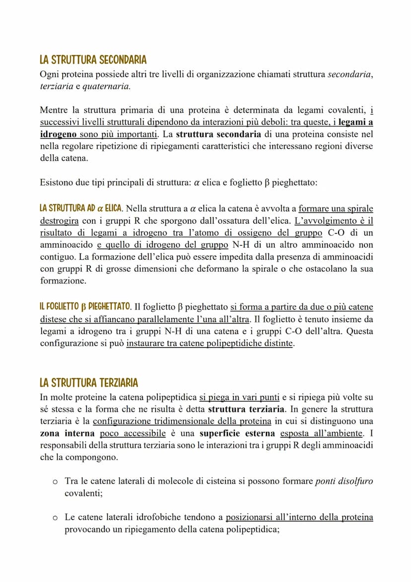 LE PROTEINE
LE CARATTERISTICHE E LE FUNZIONI DELLE PROTEINE
Le proteine sono polimeri formati da monomeri detti amminoacidi, uniti tramite
l