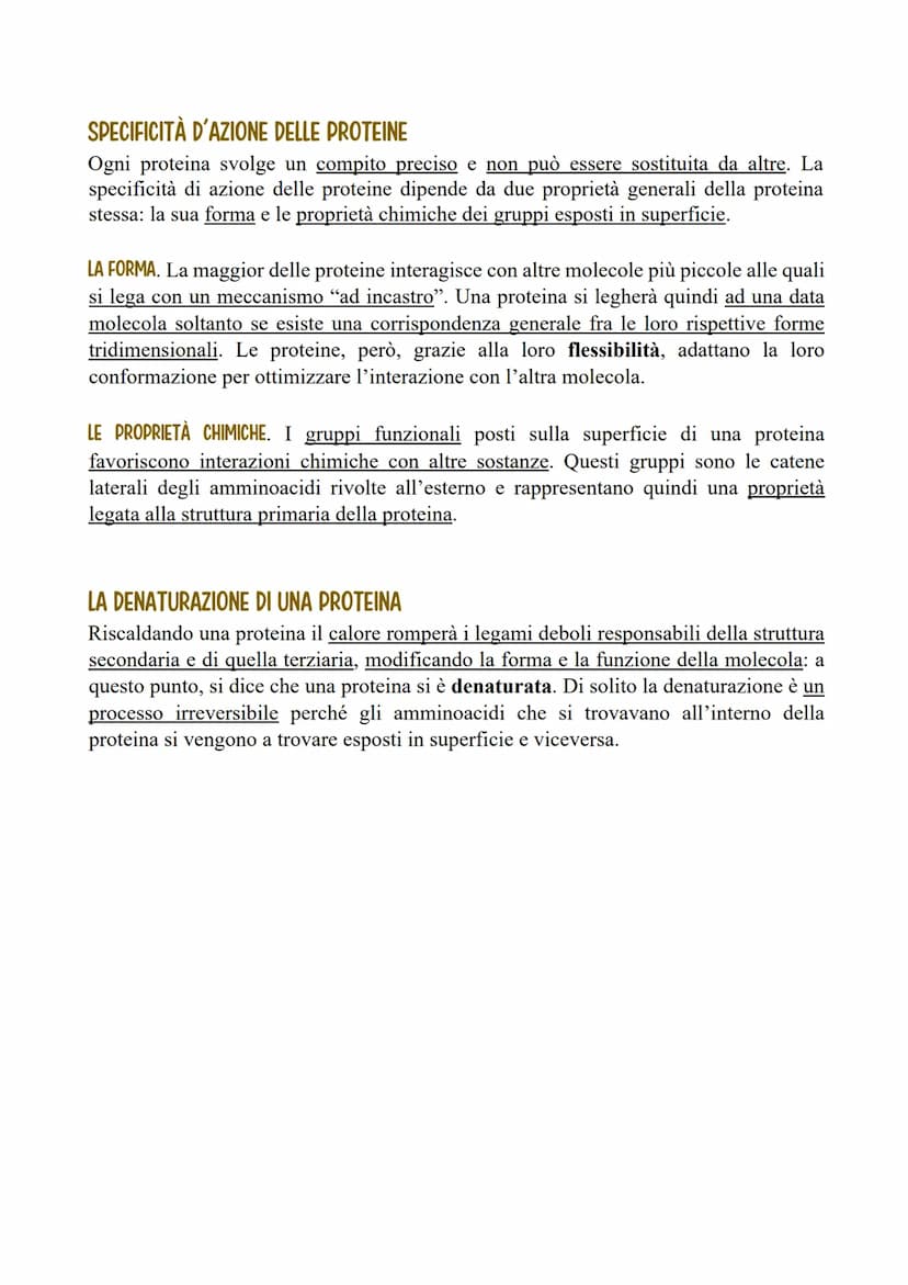 LE PROTEINE
LE CARATTERISTICHE E LE FUNZIONI DELLE PROTEINE
Le proteine sono polimeri formati da monomeri detti amminoacidi, uniti tramite
l