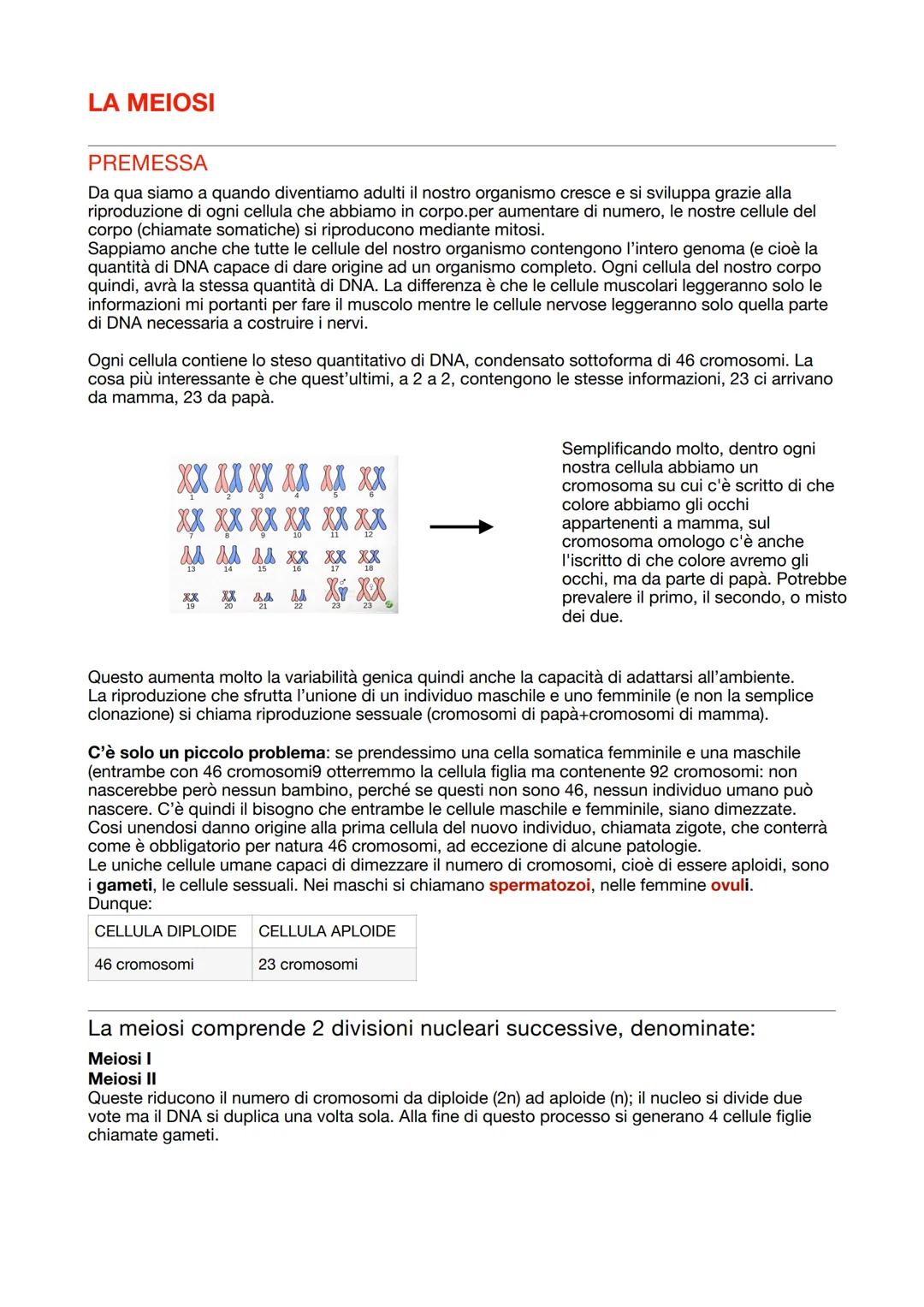 LA MITOSI
Replicazione
del DNA
COSA SONO INNANZITUTTO I CROMOSOMI: sono
importanti perché consentono grazie alla loro forma, al DNA di divid
