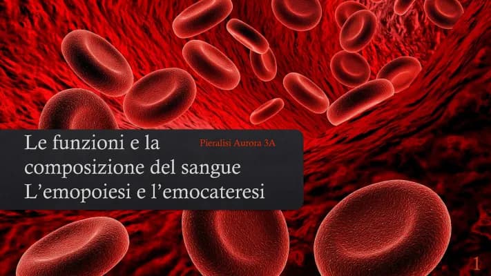 Know IL SANGUE thumbnail
