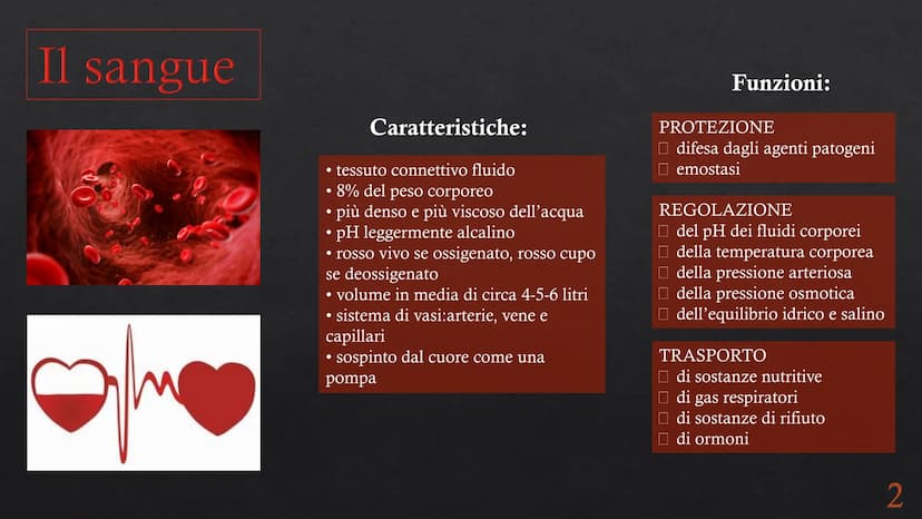 Le funzioni e la Pieralisi Aurora 3A
composizione del sangue
L'emopoiesi e l'emocateresi
S Il sangue
g/m
Caratteristiche:
• tessuto connetti