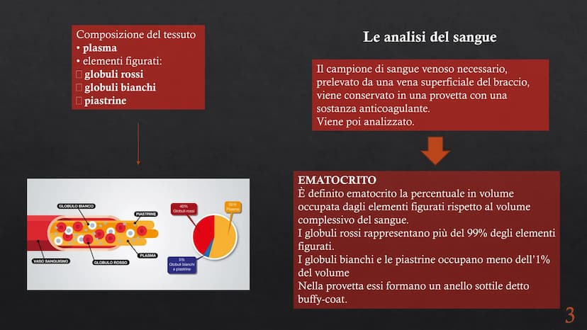 Le funzioni e la Pieralisi Aurora 3A
composizione del sangue
L'emopoiesi e l'emocateresi
S Il sangue
g/m
Caratteristiche:
• tessuto connetti