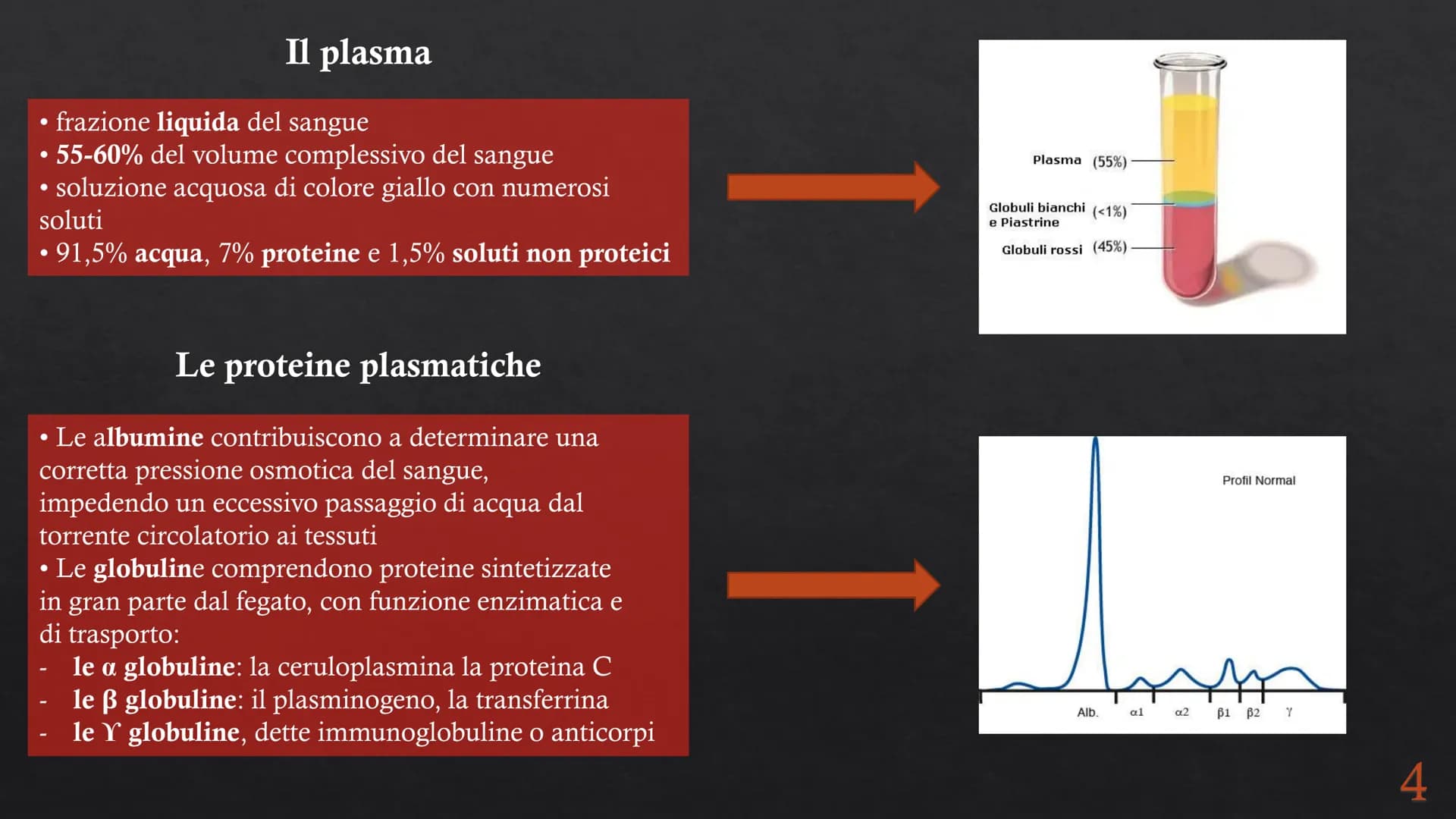 Le funzioni e la Pieralisi Aurora 3A
composizione del sangue
L'emopoiesi e l'emocateresi
S Il sangue
g/m
Caratteristiche:
• tessuto connetti