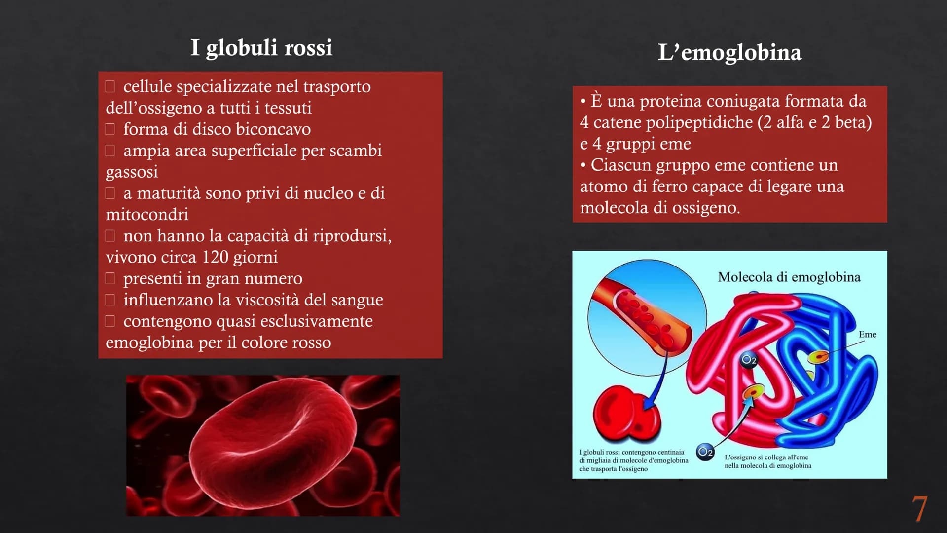 Le funzioni e la Pieralisi Aurora 3A
composizione del sangue
L'emopoiesi e l'emocateresi
S Il sangue
g/m
Caratteristiche:
• tessuto connetti