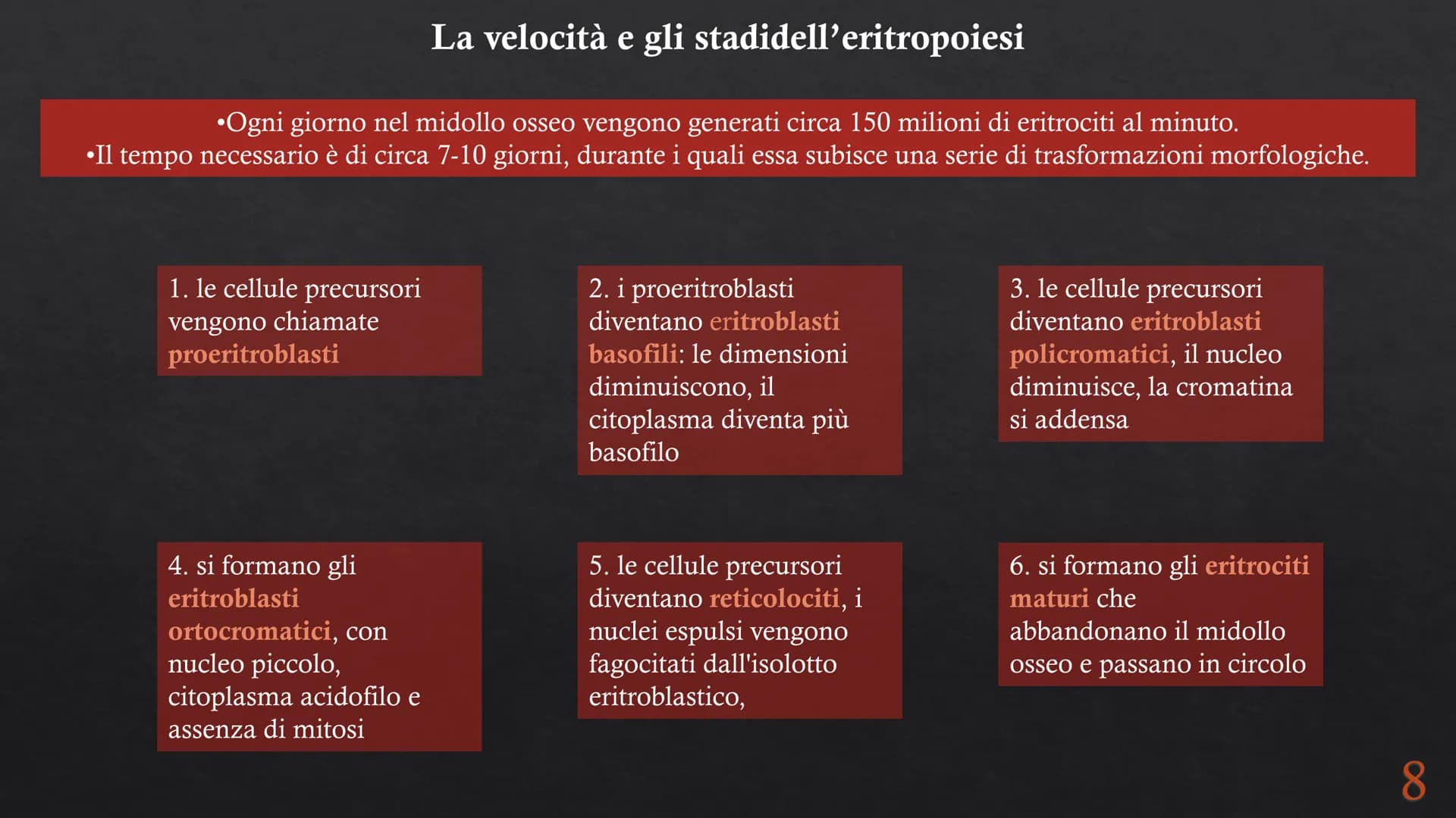 Le funzioni e la Pieralisi Aurora 3A
composizione del sangue
L'emopoiesi e l'emocateresi
S Il sangue
g/m
Caratteristiche:
• tessuto connetti