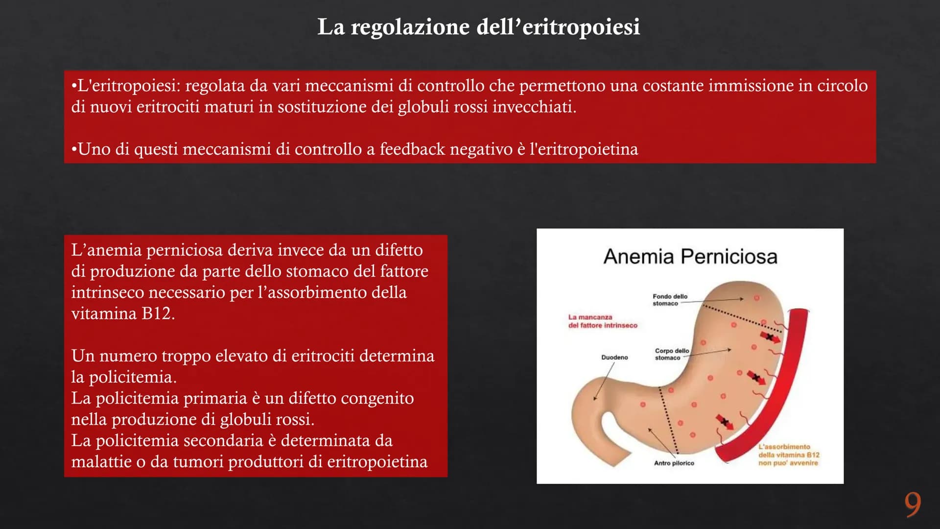 Le funzioni e la Pieralisi Aurora 3A
composizione del sangue
L'emopoiesi e l'emocateresi
S Il sangue
g/m
Caratteristiche:
• tessuto connetti