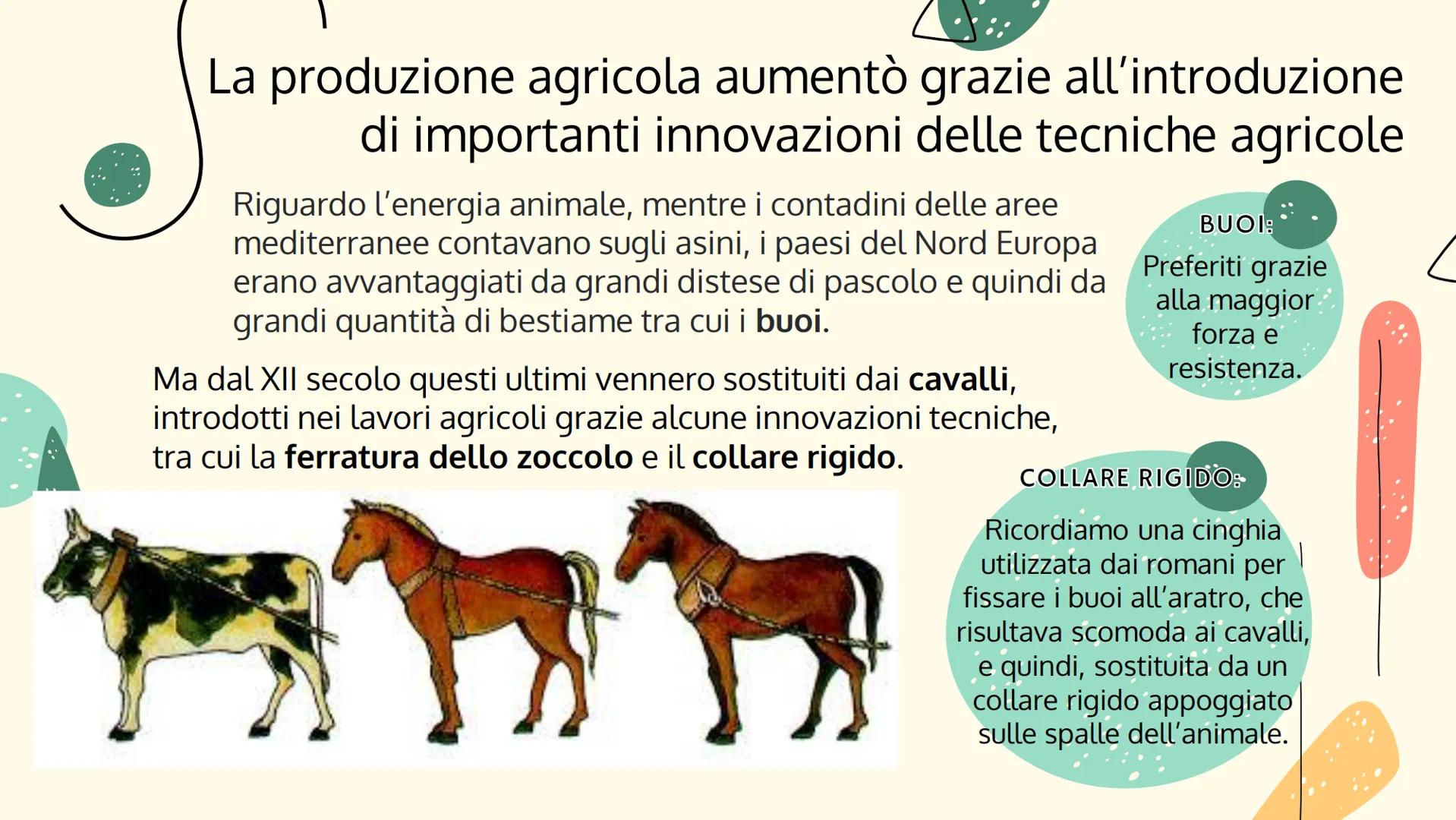 ECONOMIA E
SOCIETÀ INTORNO
ALL'ANNO MILLE
Giulia Manzi III A osa. M
La svolta dell'anno Mille
QUANDO? Intorno all'XI secolo.
DOVE? Nell'Euro