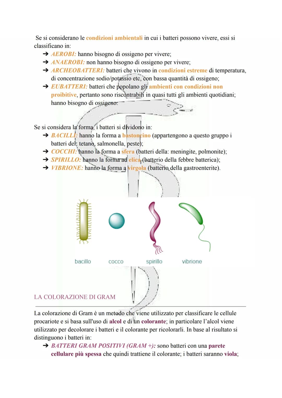 LA CELLULA PROCARIOTA
Le cellule procariotiche sono le cellule più semplici e primitive esistenti, discendendo
infatti dai più antichi organ