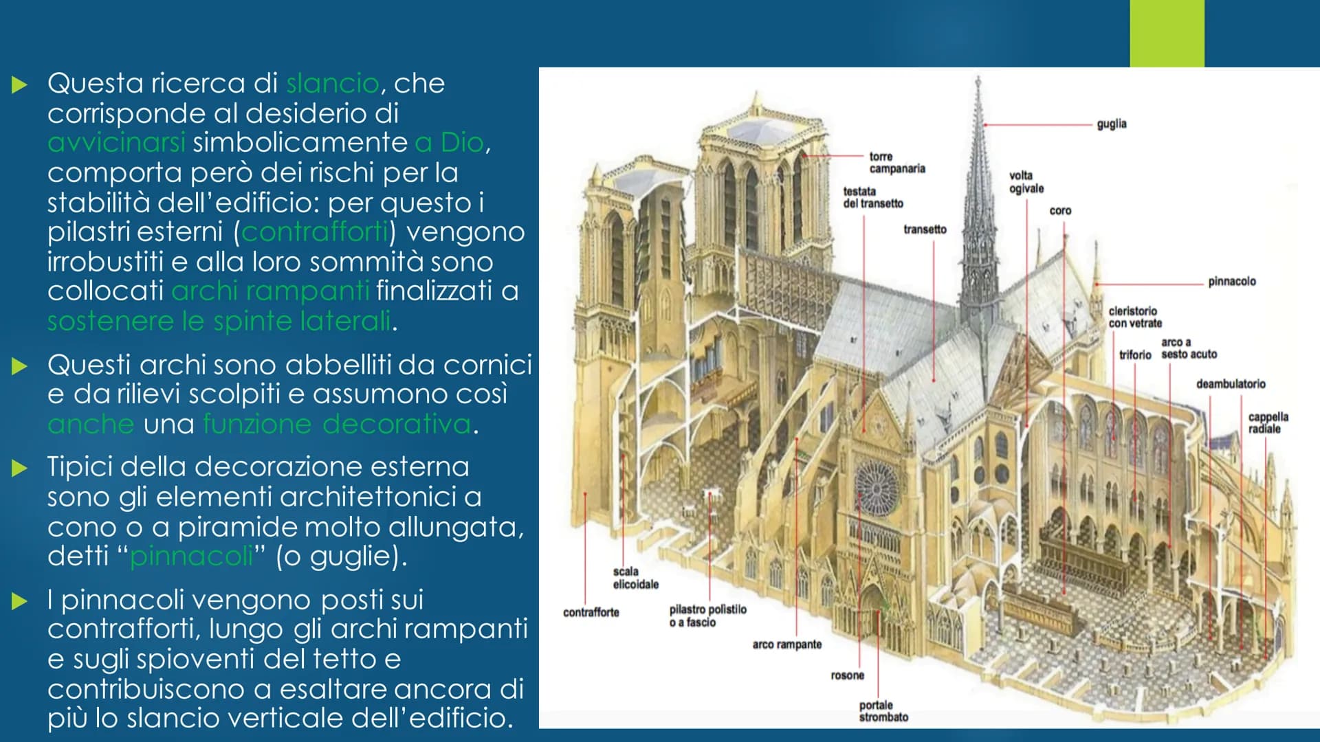 Il Gotico ▶ Il suo nome nasce con accezione dispregiativa
durante il Rinascimento, che vede in quest'arte
qualcosa di "barbarico" (da qui l'