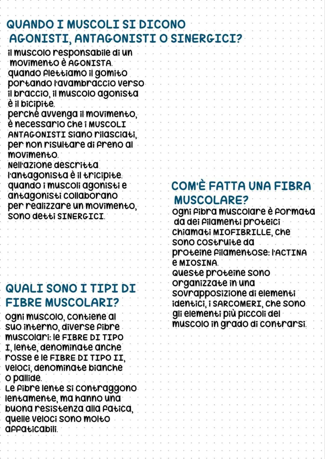 apparats vlusulare
il Sistema muscolare, assieme
a quello scheletrico, Forma
L'APPARATO MUSCOLARE:
quando uno stimolo nervoso
avvia la contr