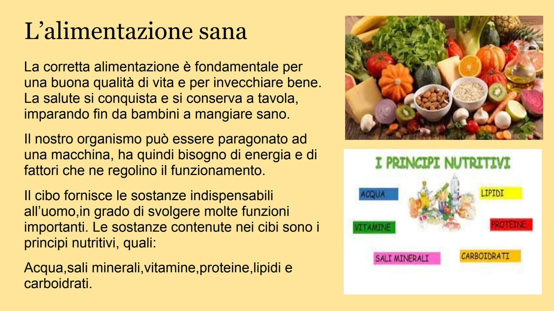 
<h2 id="importanzadiunacorrettaalimentazione">Importanza di una corretta alimentazione</h2>
<p>L'alimentazione sana è fondamentale per mant