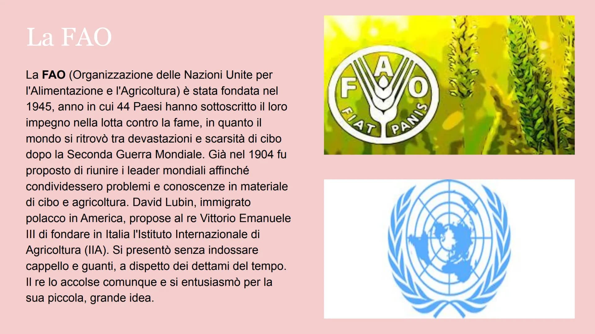 
<h2 id="importanzadiunacorrettaalimentazione">Importanza di una corretta alimentazione</h2>
<p>L'alimentazione sana è fondamentale per mant