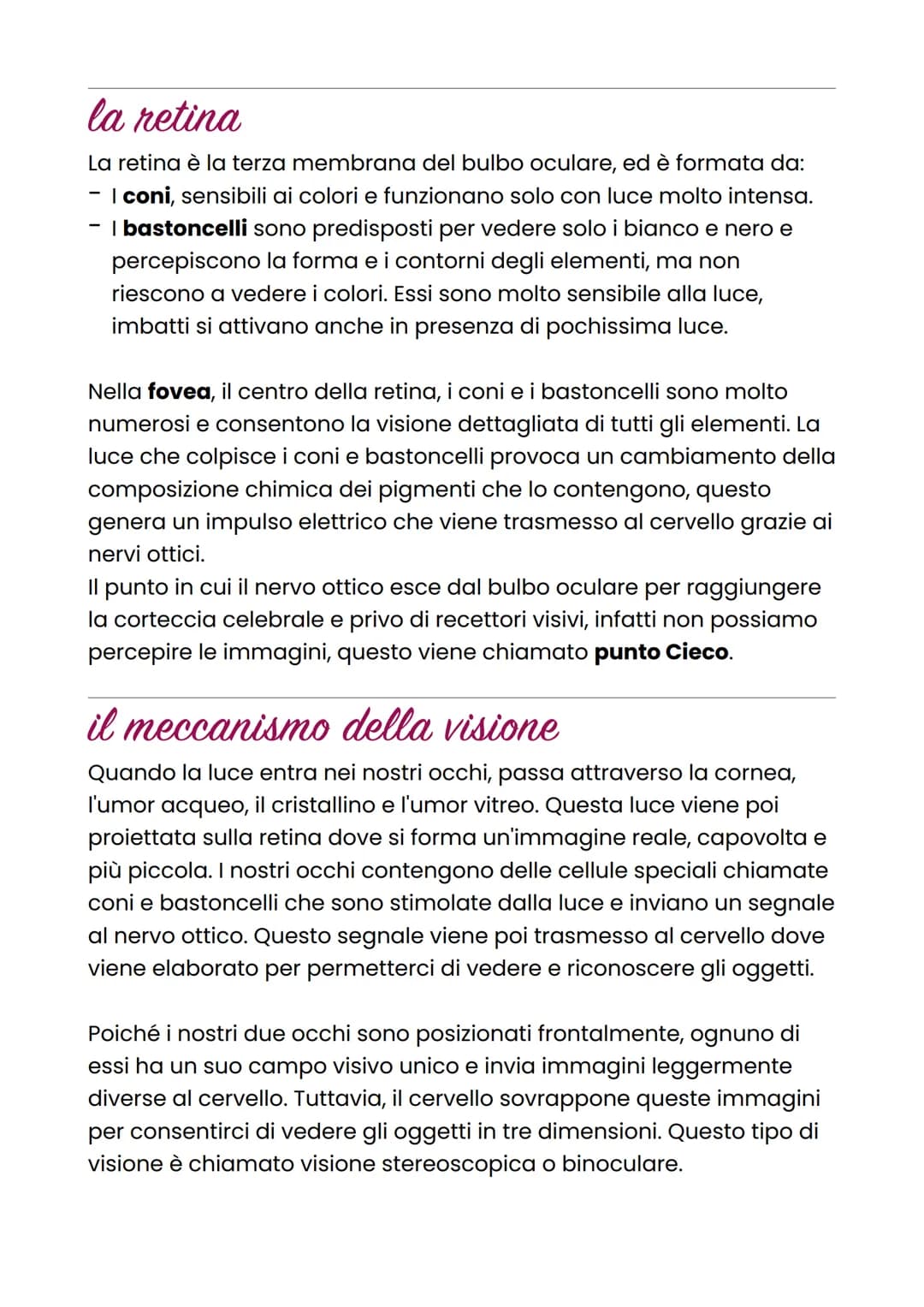 La vista
La vista è il senso che permette di distinguere forme, rilievi, distanza
e colori di ciò che viene osservato.
l'occhio
L'occhio è l