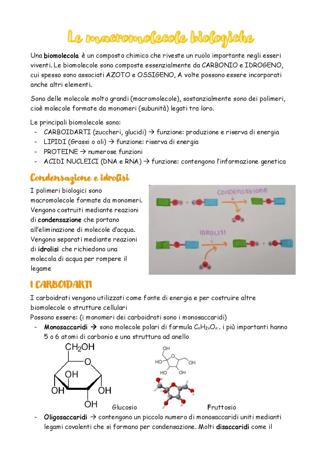 Le macromolecole