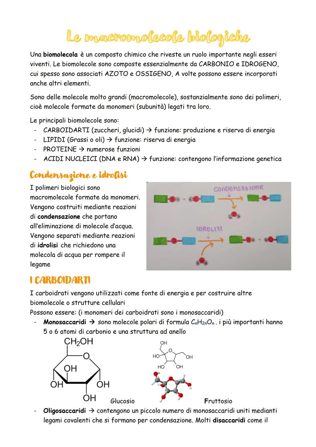 Le macromolecole biologiche
Una biomolecola è un composto chimico che riveste un ruolo importante negli esseri
viventi. Le biomolecole sono 