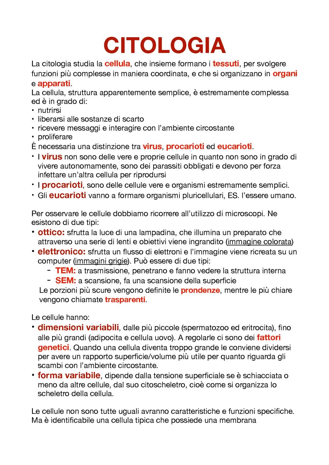 citologia 