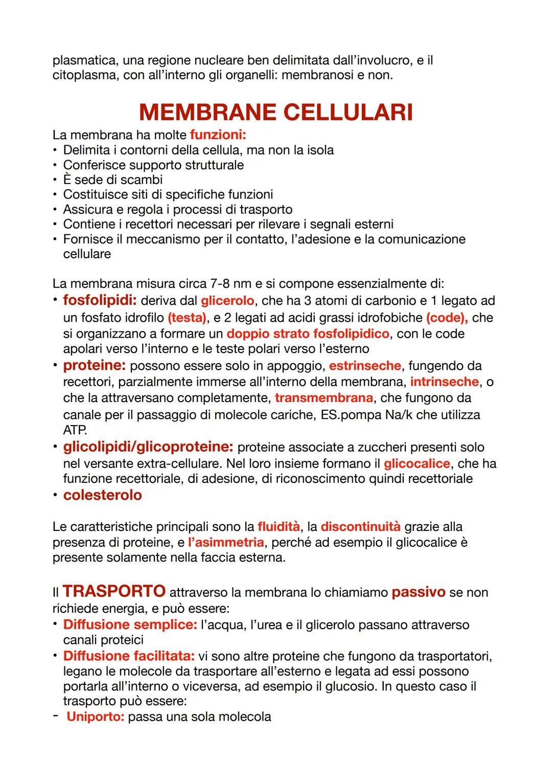--- OCR Start ---
CITOLOGIA
La citologia studia la cellula, che insieme formano i tessuti, per svolgere
funzioni più complesse in maniera co