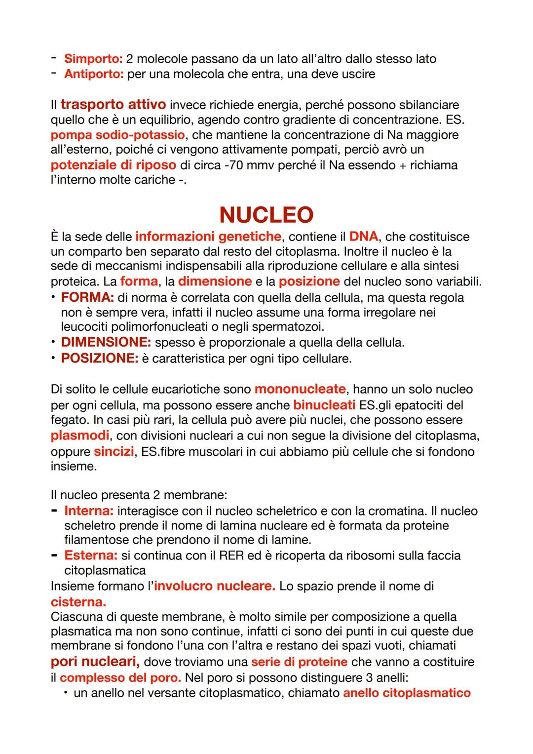 --- OCR Start ---
CITOLOGIA
La citologia studia la cellula, che insieme formano i tessuti, per svolgere
funzioni più complesse in maniera co