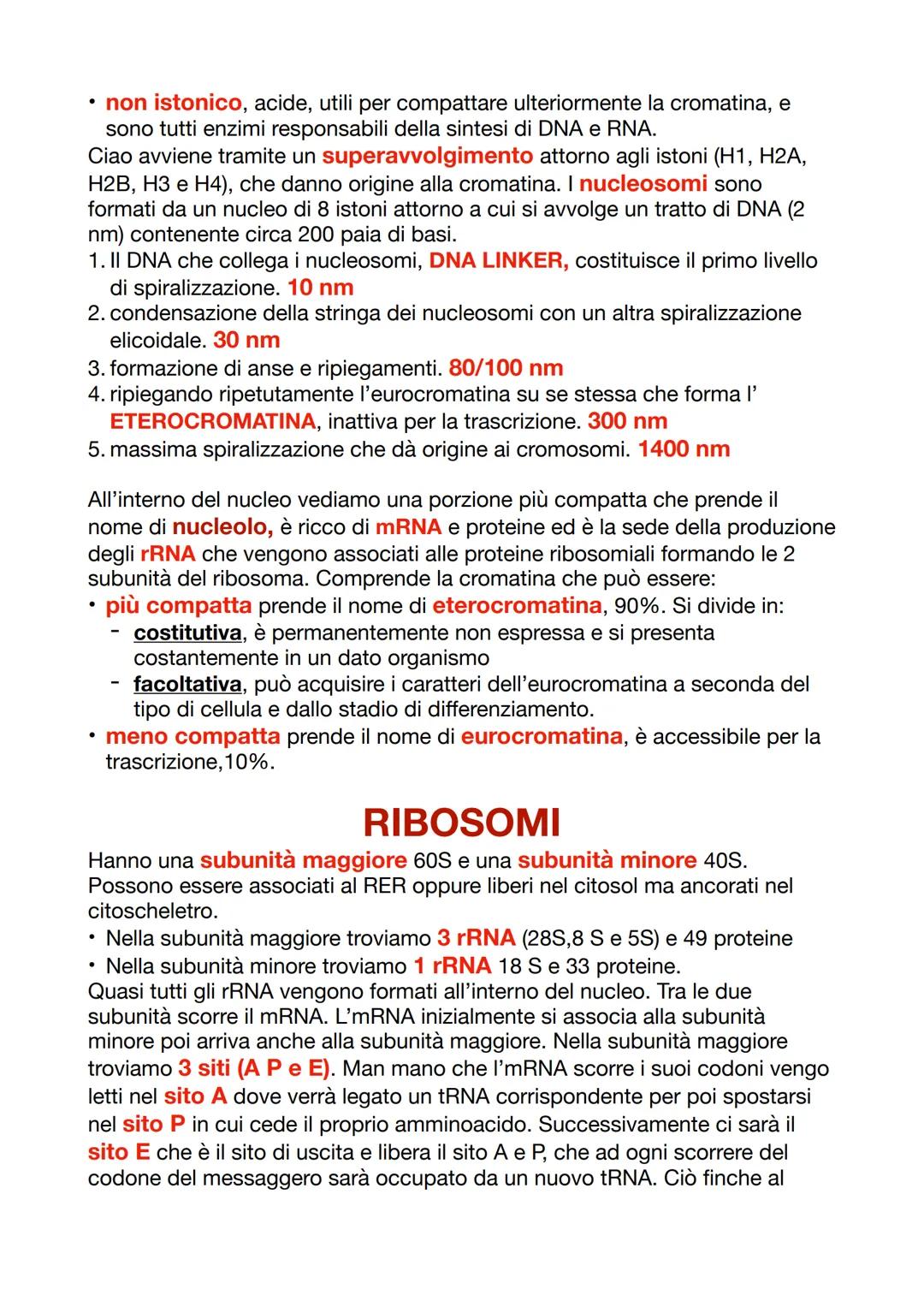 --- OCR Start ---
CITOLOGIA
La citologia studia la cellula, che insieme formano i tessuti, per svolgere
funzioni più complesse in maniera co