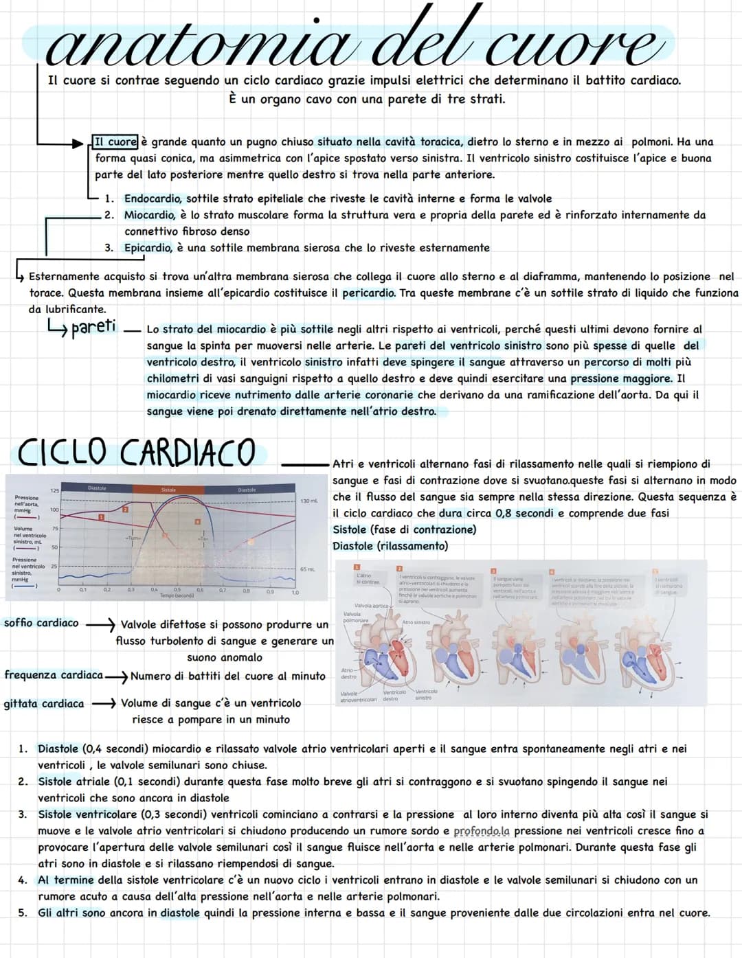 L'apparato circolatorio trasporta tutti i materiali necessari
per la composizione le fluido interstiziale, al sangue.
Questo sistema lo ritr