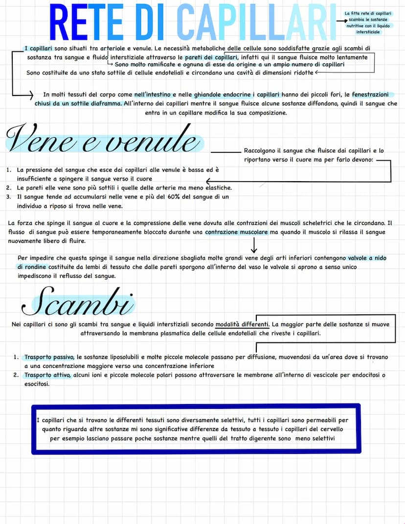 L'apparato circolatorio trasporta tutti i materiali necessari
per la composizione le fluido interstiziale, al sangue.
Questo sistema lo ritr
