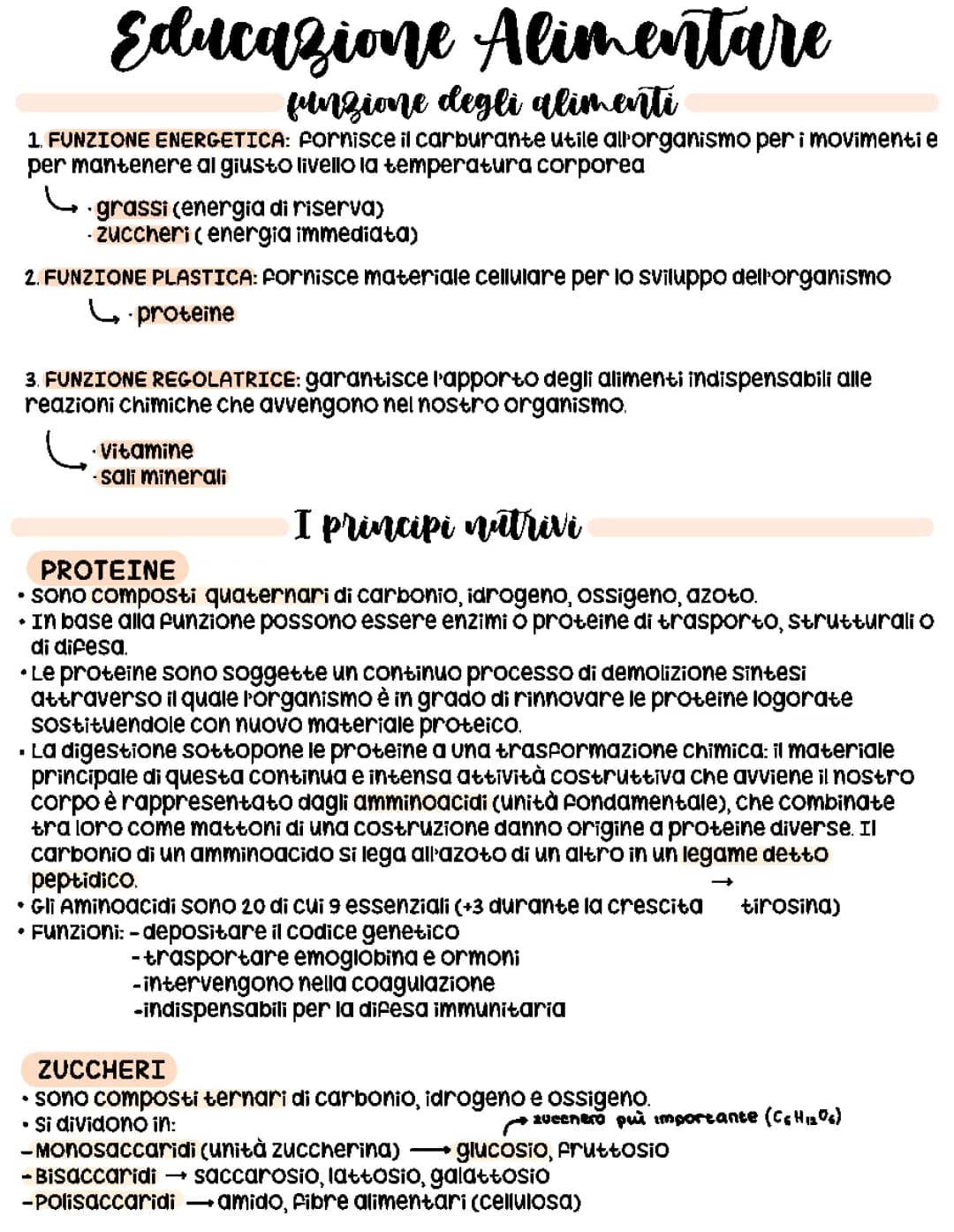 Le funzioni degli alimenti: costruttiva, regolatrice, protettiva e energetica