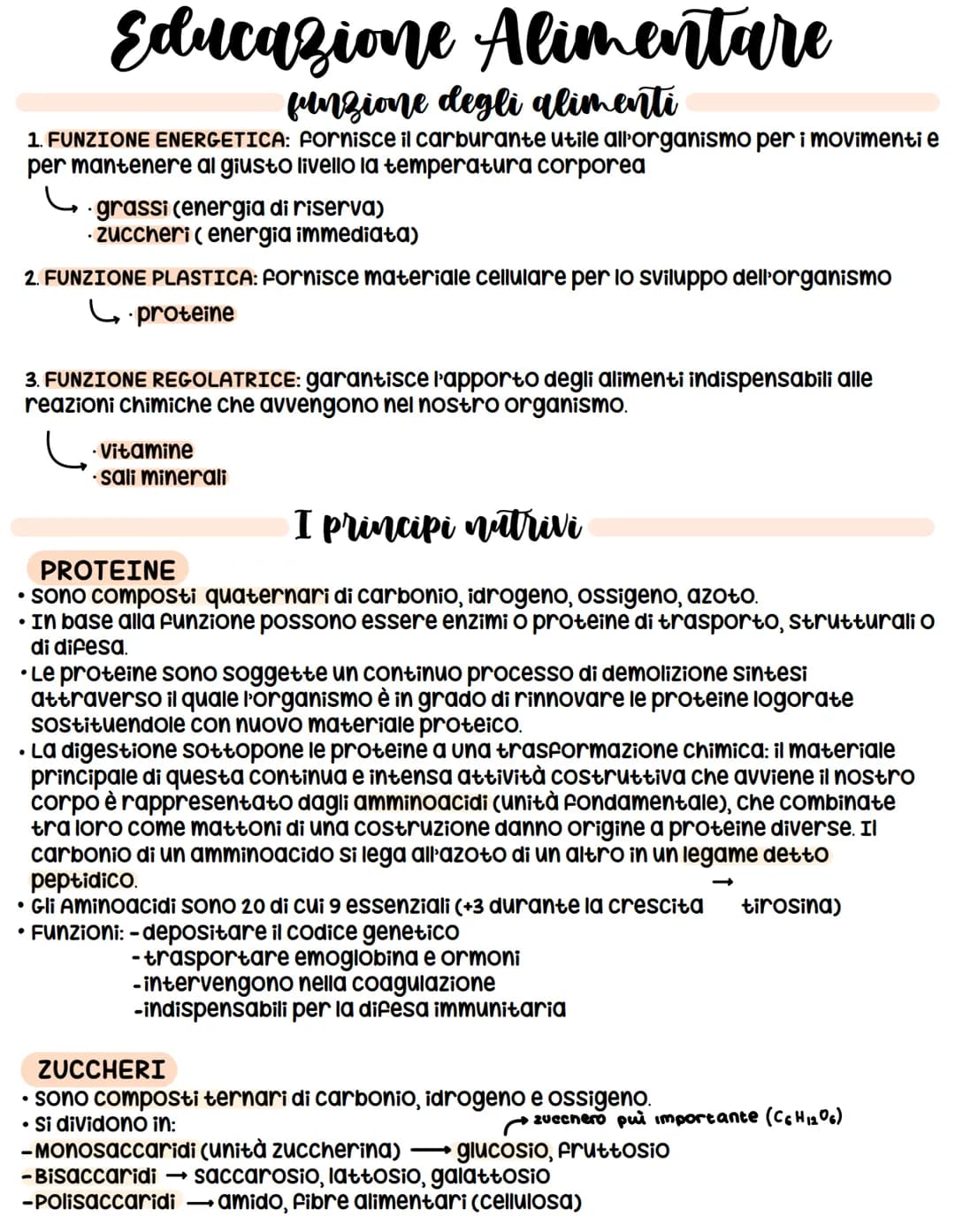 
<h2 id="funzionideglialimenti">Funzioni degli Alimenti</h2>
<p>I cibi che assumiamo svolgono diverse funzioni all'interno del nostro organi