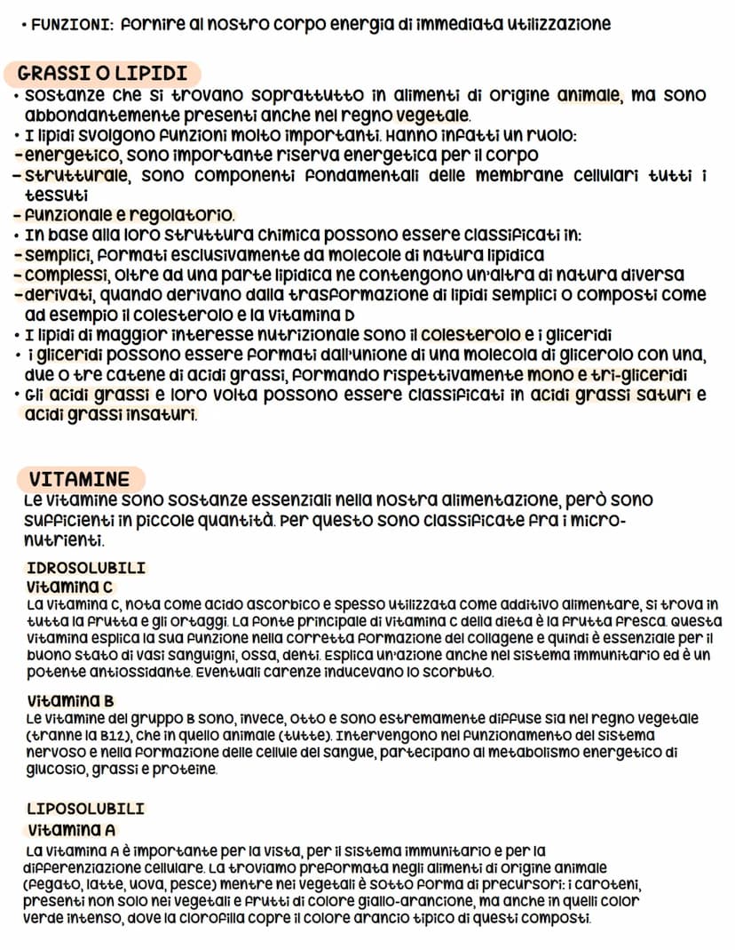 
<h2 id="funzionideglialimenti">Funzioni degli Alimenti</h2>
<p>I cibi che assumiamo svolgono diverse funzioni all'interno del nostro organi