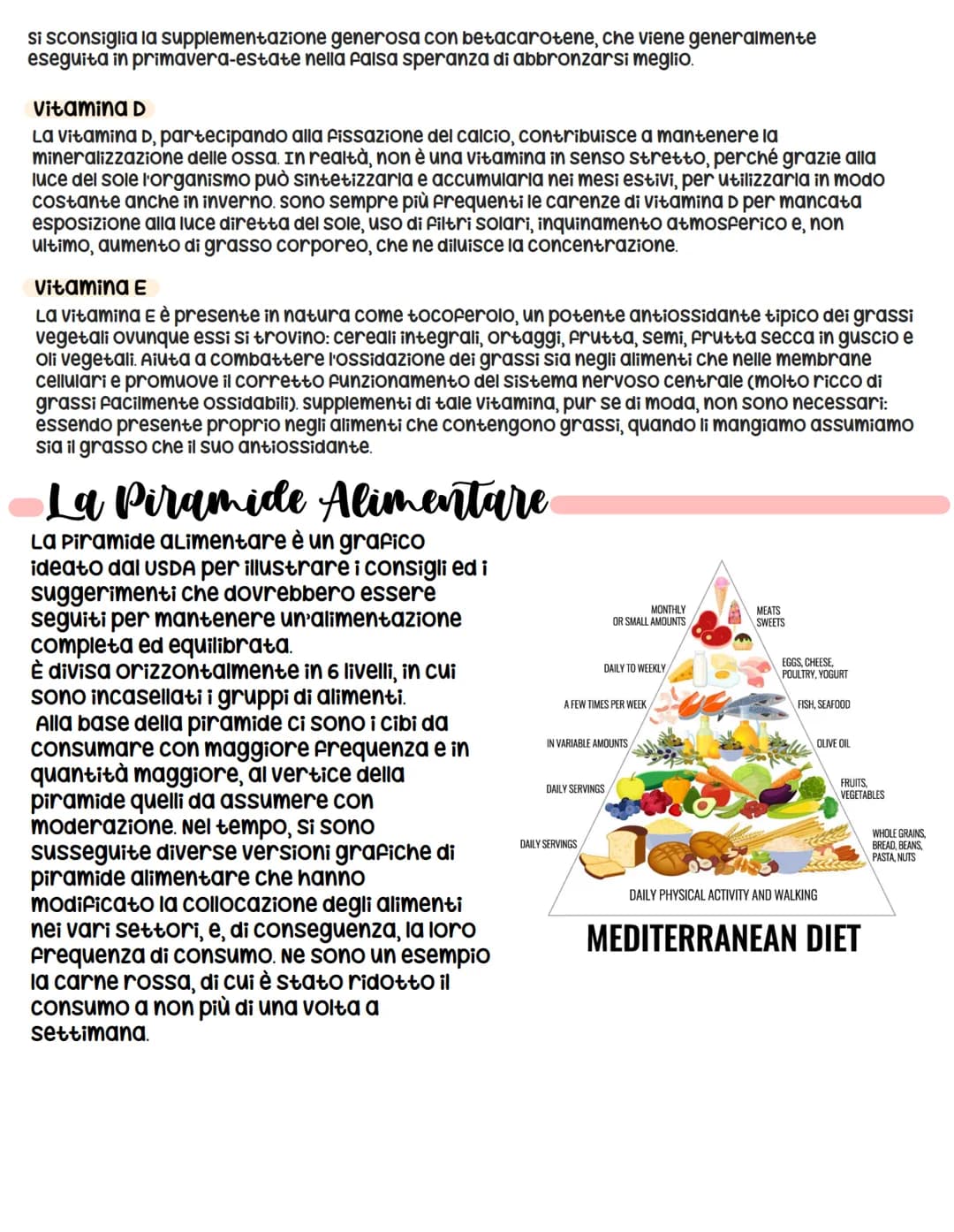 
<h2 id="funzionideglialimenti">Funzioni degli Alimenti</h2>
<p>I cibi che assumiamo svolgono diverse funzioni all'interno del nostro organi