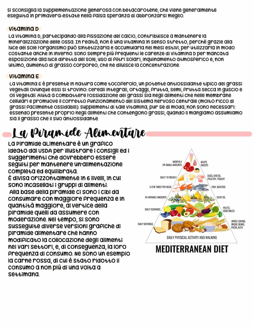 
<h2 id="funzionideglialimenti">Funzioni degli Alimenti</h2>
<p>I cibi che assumiamo svolgono diverse funzioni all'interno del nostro organi