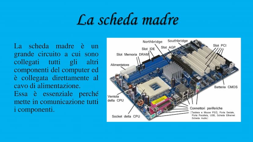 
<p>La struttura di un computer è composta da hardware e software. L'hardware si riferisce alle componenti fisiche del computer, come la tas