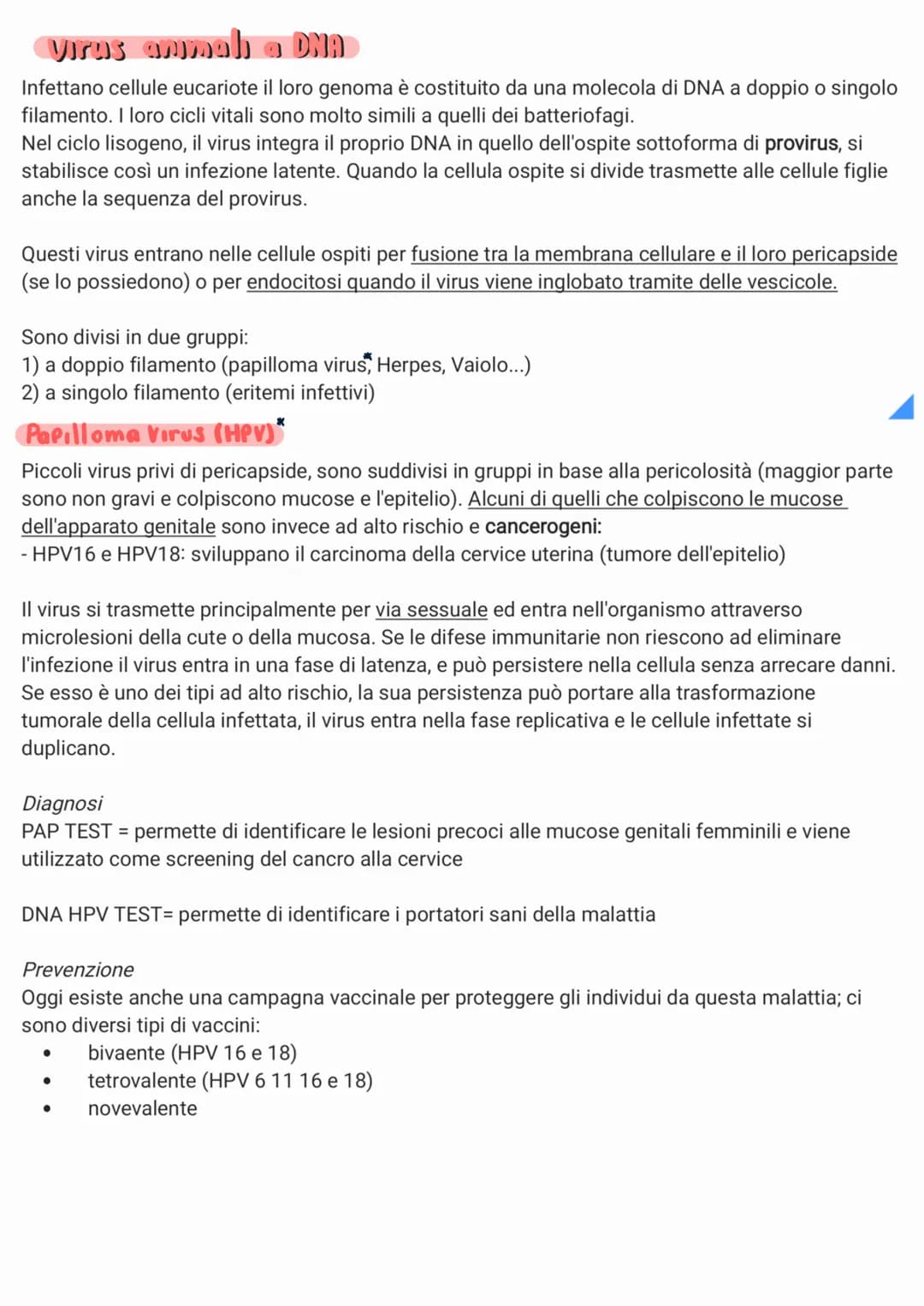 
<p>I virus sono piccoli agenti infettivi che invadono le cellule e le trasformano in produttori di altri virus. Biologicamente sono parassi