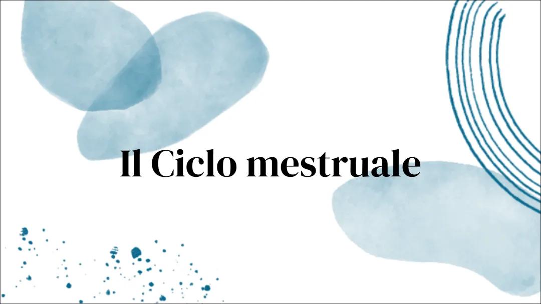 Il ciclo mestruale