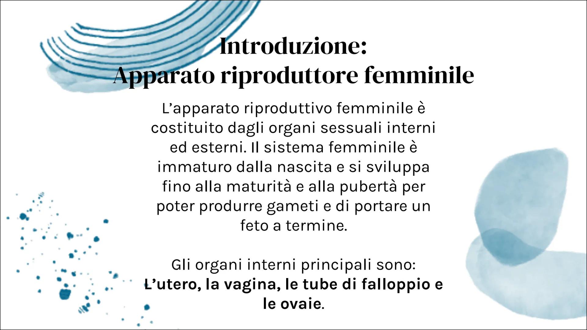 Il Ciclo mestruale Introduzione:
Apparato riproduttore femminile
L'apparato riproduttivo femminile è
costituito dagli organi sessuali intern