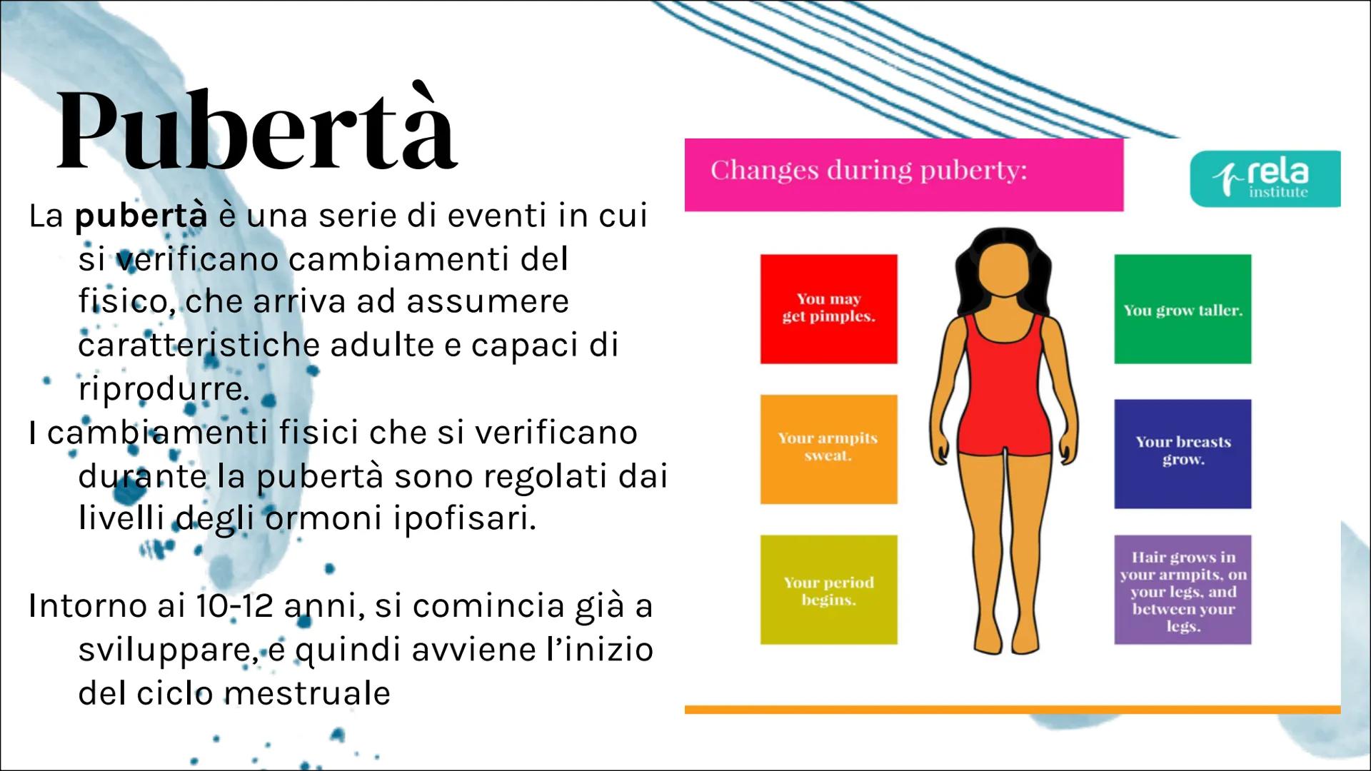 Il Ciclo mestruale Introduzione:
Apparato riproduttore femminile
L'apparato riproduttivo femminile è
costituito dagli organi sessuali intern